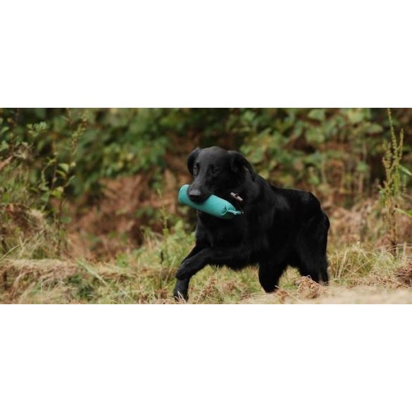 Firedog Standard dummy 500 g green