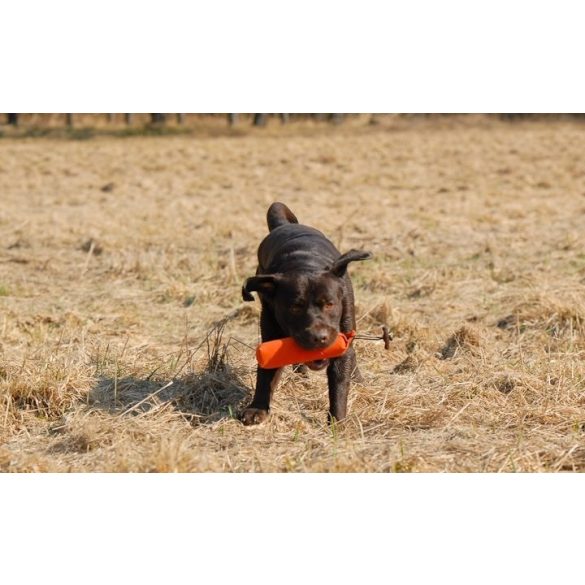 Firedog Standard dummy 500 g orange