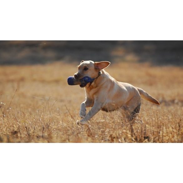 Firedog Standard dummy 500 g blue