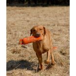 Firedog Standard dummy 1000 g orange