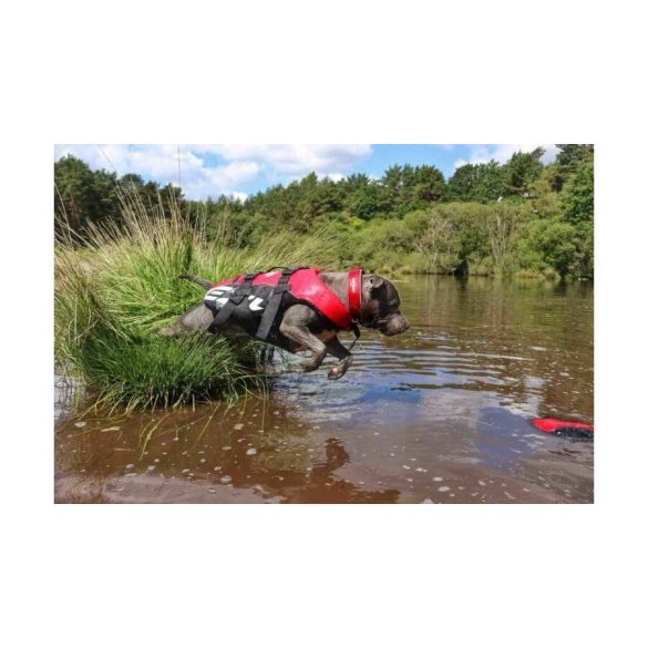 EzyDog DFD Mentőmellény M 38-50 cm Piros