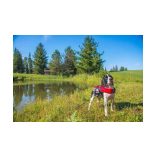 EzyDog DFD Mentőmellény S 33-40 cm Piros