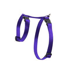 LUPINE H-hám (Lila 1,25 cm széles  23-35 cm)