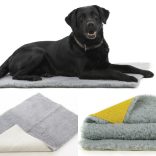 Vetbed Non Slip M 75 x 50 cm