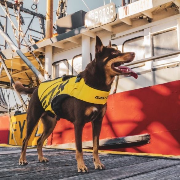EzyDog DFD X2 Boost Mentőmellény XL 86-95 cm Rózsaszín