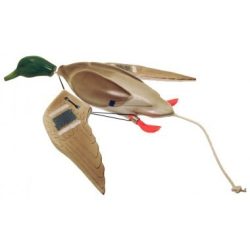 Dokken's Dead Fowl Kacsa Szárny