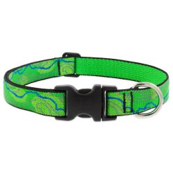 LUPINE nyakörv (Intervale 2,5 cm széles 31-50 cm)