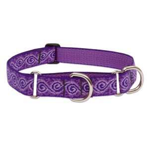 LUPINE Félfojtó nyakörv (Jelly Roll 2,5 cm széles 49-68 cm)