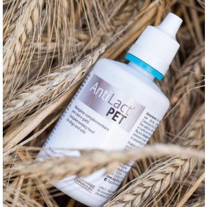 Dogoteka AntiLact Pet