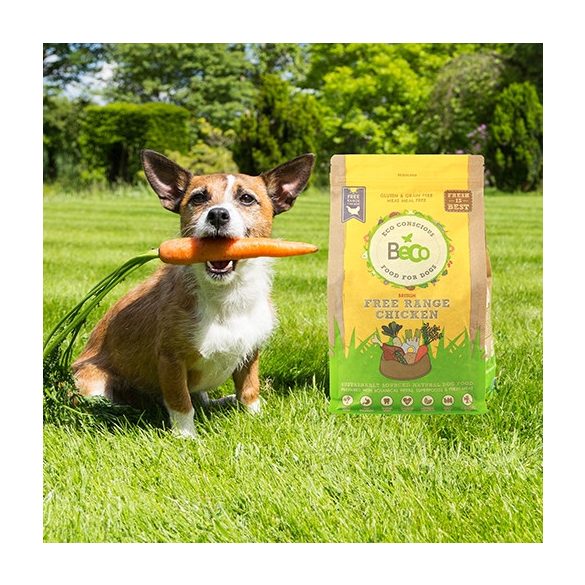 Beco Szabadtartású csirke sárgarépával és cikóriával 12 kg