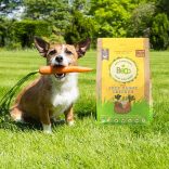 Beco Szabadtartású csirke sárgarépával és cikóriával 2 kg