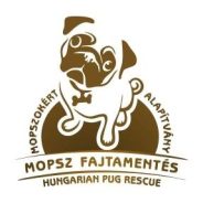 Hungarian Pug Rescue