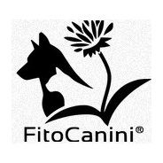 FitoCavallo
