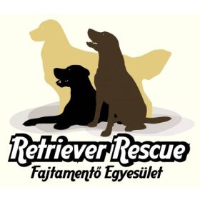 Retriever Rescue