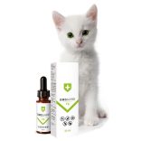 DMGuard T2 120ml