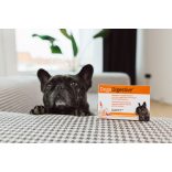 Dogoteka DogoDigestive