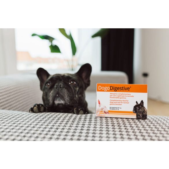 Dogoteka DogoDigestive
