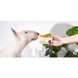 Dogoteka DogoDigestive