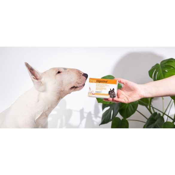 Dogoteka DogoDigestive