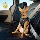 EZYDOG DRIVE hám L