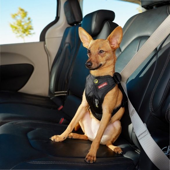EZYDOG DRIVE hám L