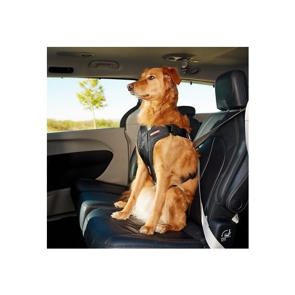 EZYDOG DRIVE hám M
