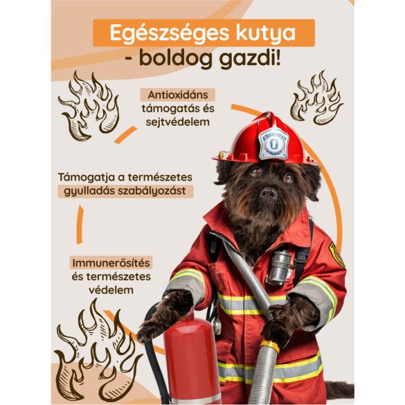 K9 Inu