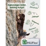 K9 InuFlex™