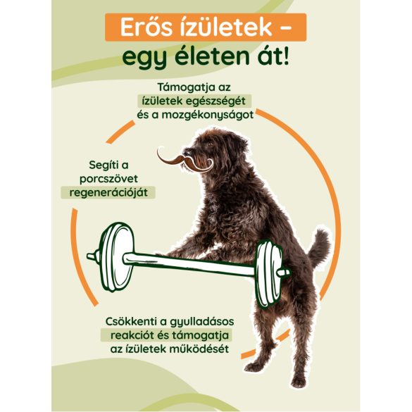 K9 InuFlex™