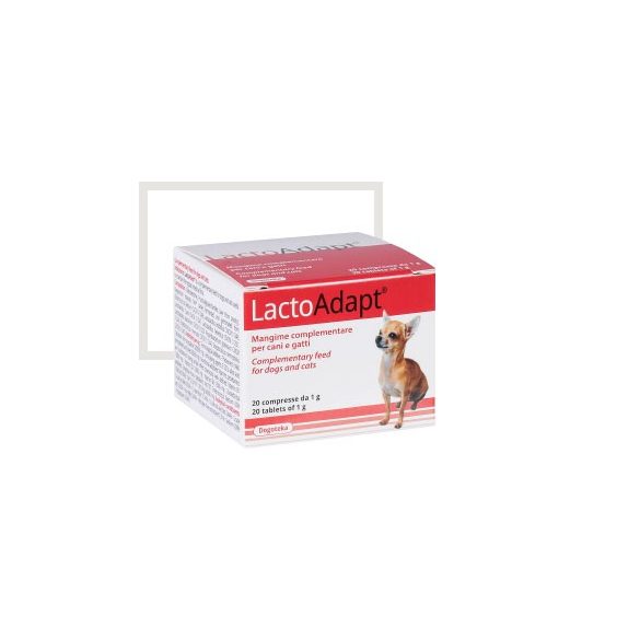 Dogoteka Lactoadapt 60 db
