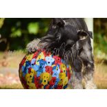 PetBloon Labda