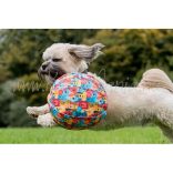 PetBloon Labda